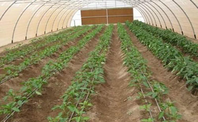 u=913013900,855597536&fm=26&gp=0.jpg u=913013900,855597536&fm=26&gp=0.jpg