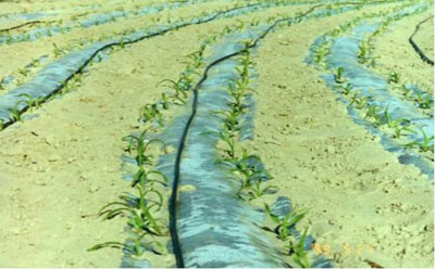 u=3534881504,435623893&fm=26&gp=0.jpg u=3534881504,435623893&fm=26&gp=0.jpg