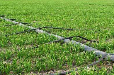 2019010859478501.jpg 2019010859478501.jpg