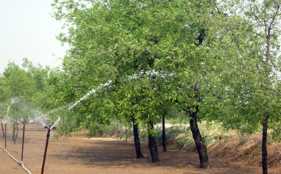 2018121648855861.jpg 2018121648855861.jpg