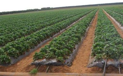 工程水量計(jì)算