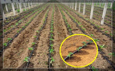 噴灌質(zhì)量控制